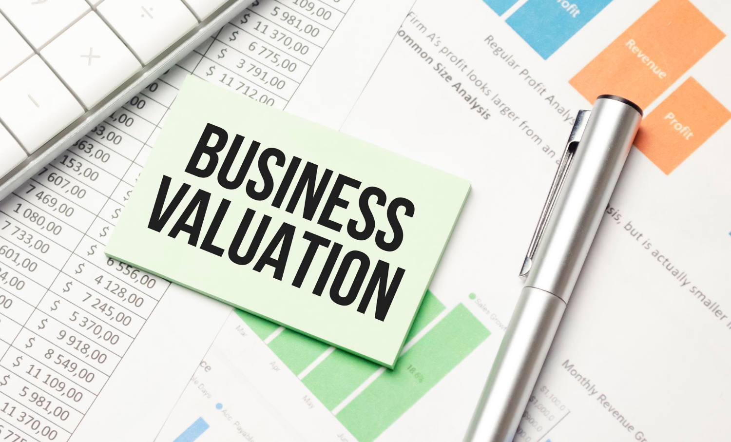 WBS Management Consultant 2026